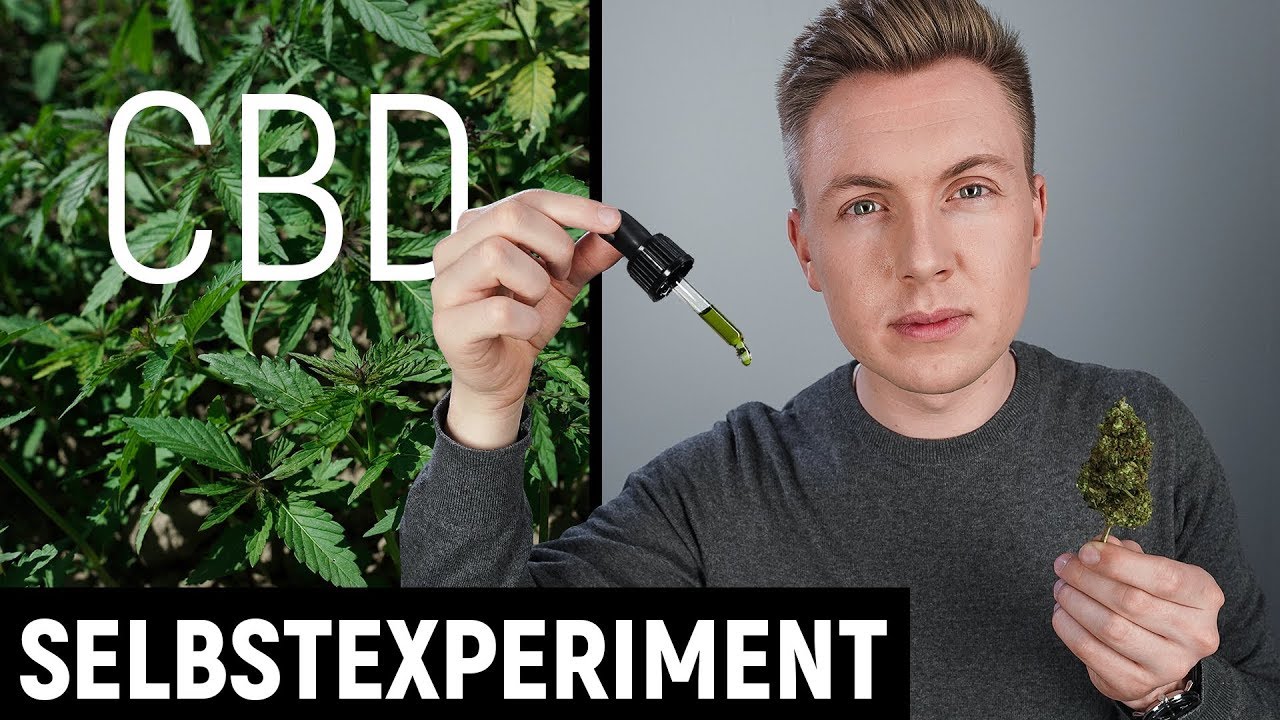 CBD selveksperiment: Was kann das 'Wundermittel' virkelig?