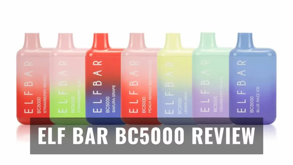 Elf Bar BC5000