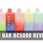 Elf Bar BC5000